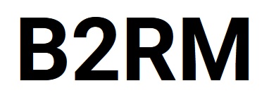 logo b2rm